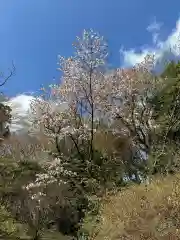 霞神社(東京都)