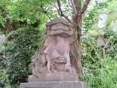 雉子神社の狛犬