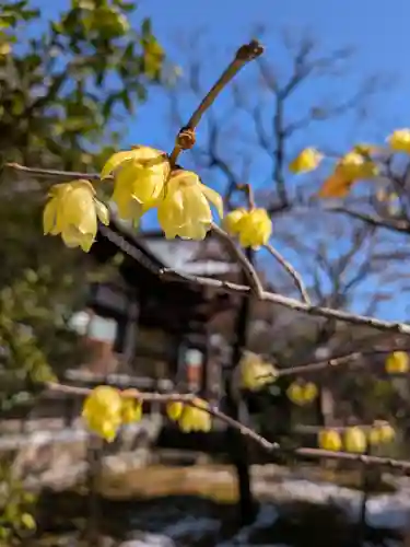 高円寺(東京都)