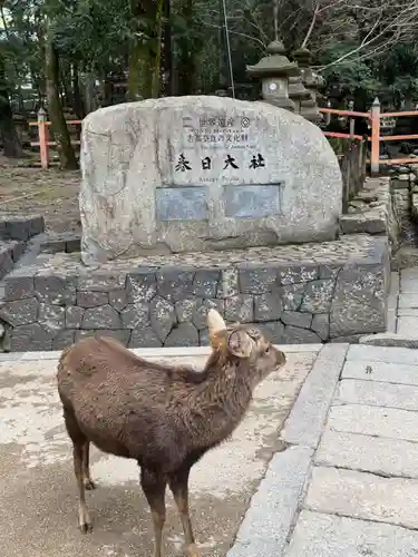 春日大社(奈良県)