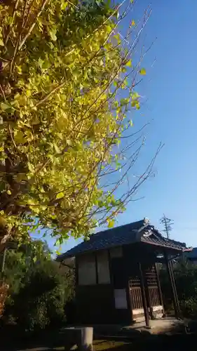 菩提寺の本殿・本堂