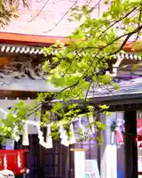 伊達神社(北海道)