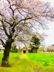 鹿嶋神社の自然