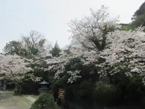 長勝寺の景色