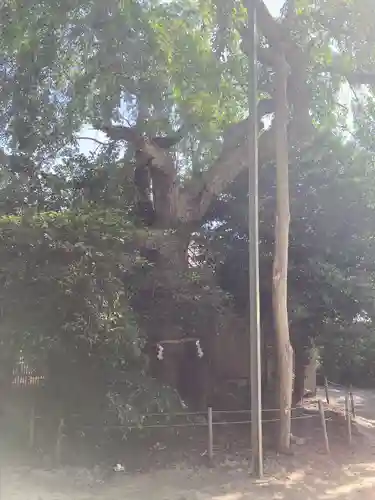 八坂神社(茨城県)