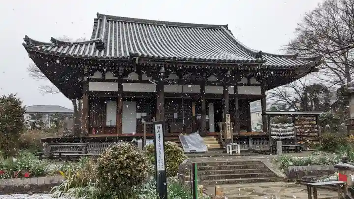 般若寺 ❁コスモス寺❁(奈良県)