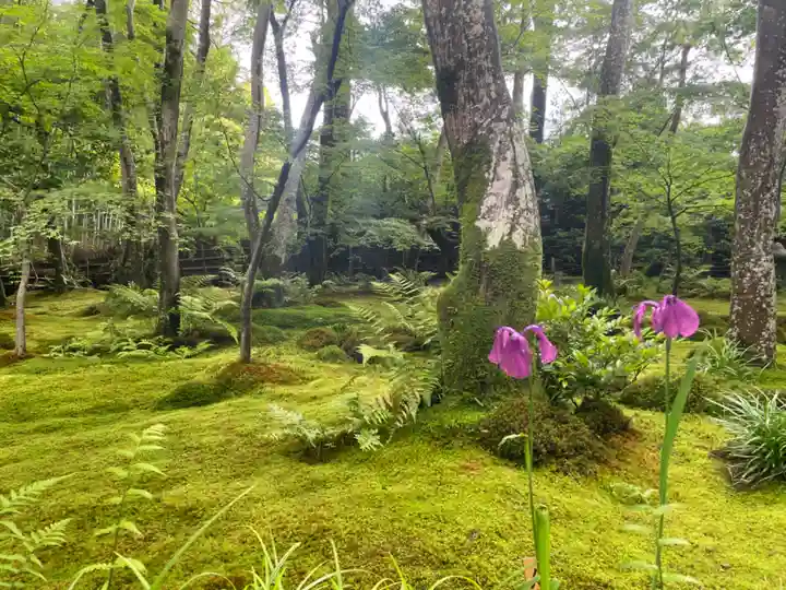 祇王寺(京都府)