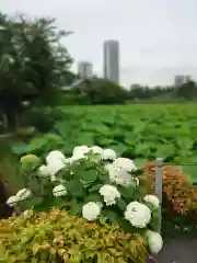 寛永寺不忍池弁天堂(東京都)