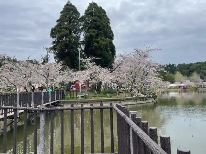 厳島神社 谷弁財天の{uncategorized: "未分類", other: "その他", undefined: "問題あり", building: "その他建物", grave: "お墓", sacred_gate: "鳥居", guardian: "狛犬", statue: "像", buddha: "仏像", history: "歴史", nature: "自然", garden: "庭園", animal: "動物", pagoda: "塔", temizu: "手水舎", mountain_gate: "山門・神門", sanctuary: "本殿・本堂", subordinate: "末社・摂社", art: "芸術", scenery: "景色", jizo: "地蔵", ema: "絵馬", goshuin: "御朱印", omikuji: "おみくじ", items: "授与品その他", amulet: "お守り", goshuincho: "御朱印帳", eats: "食事", festival: "お祭り", votive_dance: "神楽", shichigosan: "七五三参", wedding: "結婚式", experience: "体験その他", initially: "初詣", around: "周辺", anti_infection: "感染症対策"}