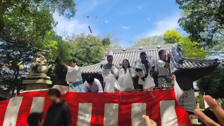日招八幡大神社(愛媛県)