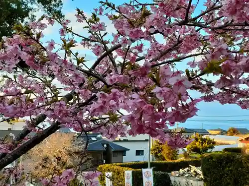 徳音院の景色