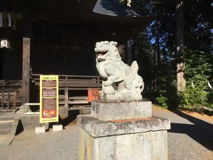 冨士御室浅間神社の狛犬