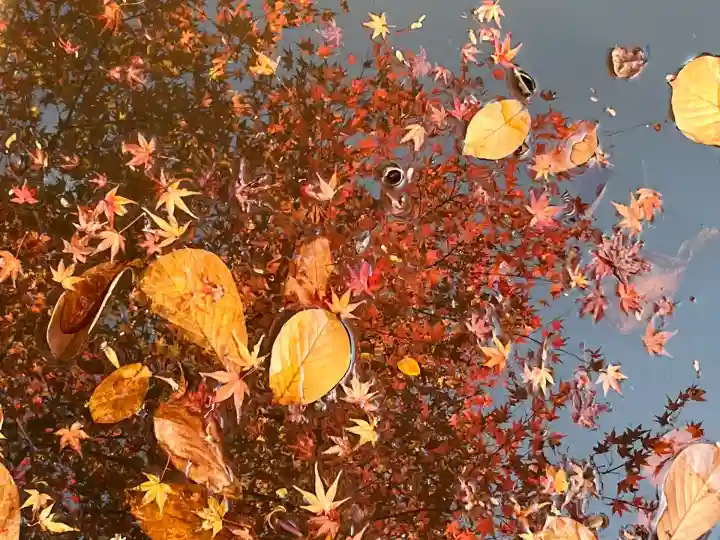 国宝 長寿寺(滋賀県)