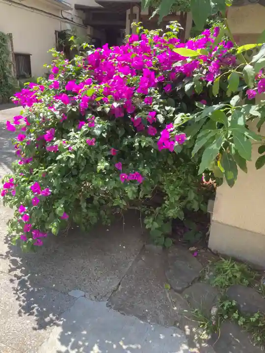 専福寺(東京都)