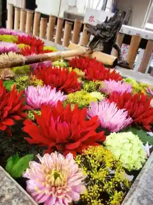 高円寺氷川神社(東京都)