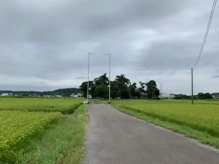 熊野神社の周辺