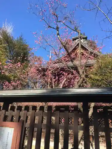 甲斐國一宮 浅間神社の本殿