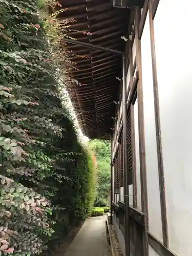 覚證寺の本殿・本堂