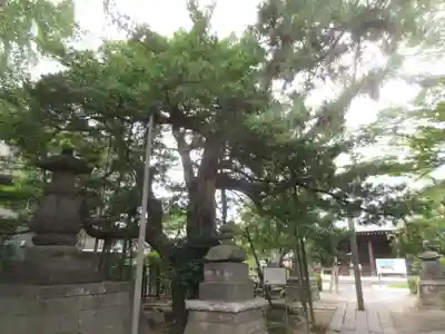 金蓮院(東京都)