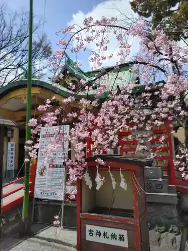 須賀神社の自然