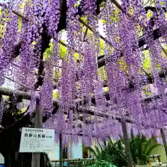 行興寺(静岡県)