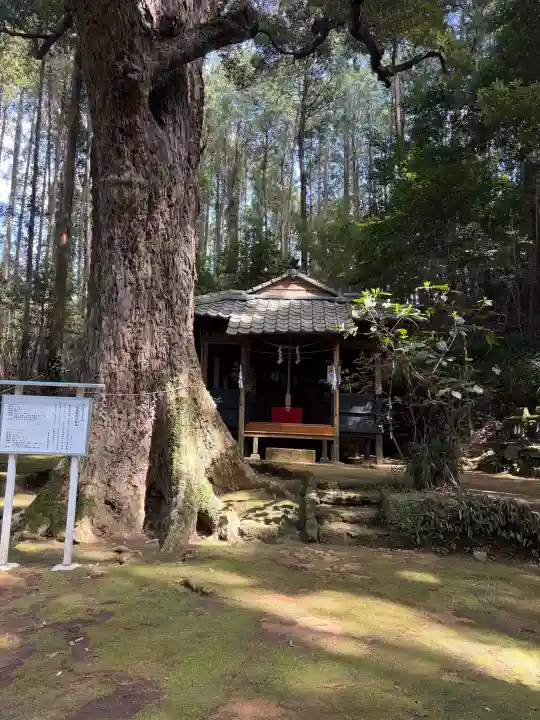 高座神社の{uncategorized: "未分類", other: "その他", undefined: "問題あり", building: "その他建物", grave: "お墓", sacred_gate: "鳥居", guardian: "狛犬", statue: "像", buddha: "仏像", history: "歴史", nature: "自然", garden: "庭園", animal: "動物", pagoda: "塔", temizu: "手水舎", mountain_gate: "山門・神門", sanctuary: "本殿・本堂", subordinate: "末社・摂社", art: "芸術", scenery: "景色", jizo: "地蔵", ema: "絵馬", goshuin: "御朱印", omikuji: "おみくじ", items: "授与品その他", amulet: "お守り", goshuincho: "御朱印帳", eats: "食事", festival: "お祭り", votive_dance: "神楽", shichigosan: "七五三参", wedding: "結婚式", experience: "体験その他", initially: "初詣", around: "周辺", anti_infection: "感染症対策"}
