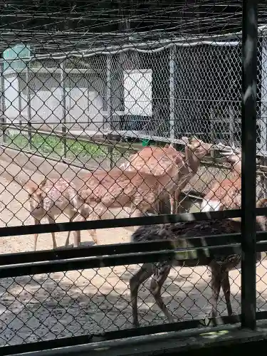 鹿島神宮(茨城県)