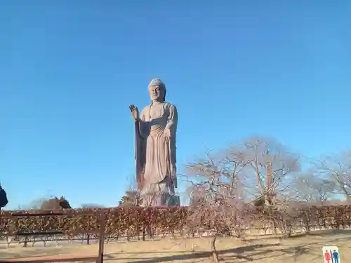 東本願寺本廟 牛久浄苑（牛久大仏）(茨城県)