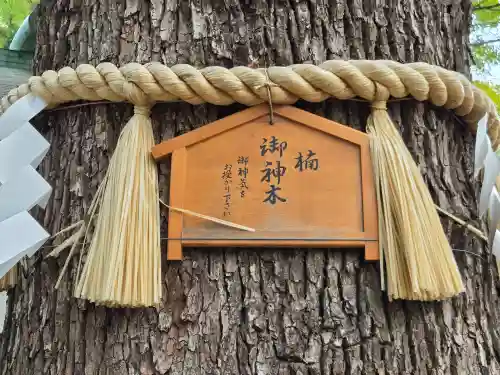 駒込天祖神社(東京都)