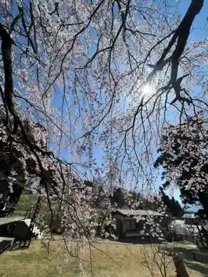 国宝 大法寺(長野県)