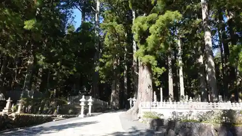 高野山金剛峯寺奥の院(和歌山県)