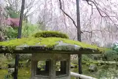 竹林院の自然