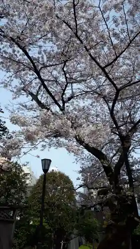 根津神社(東京都)
