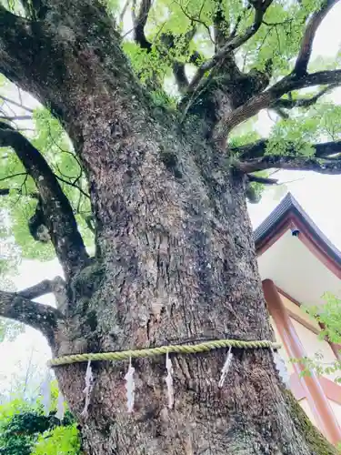 清澄寺の庭園