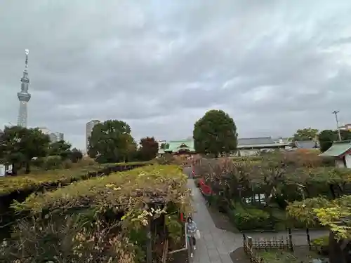 亀戸天神社(東京都)
