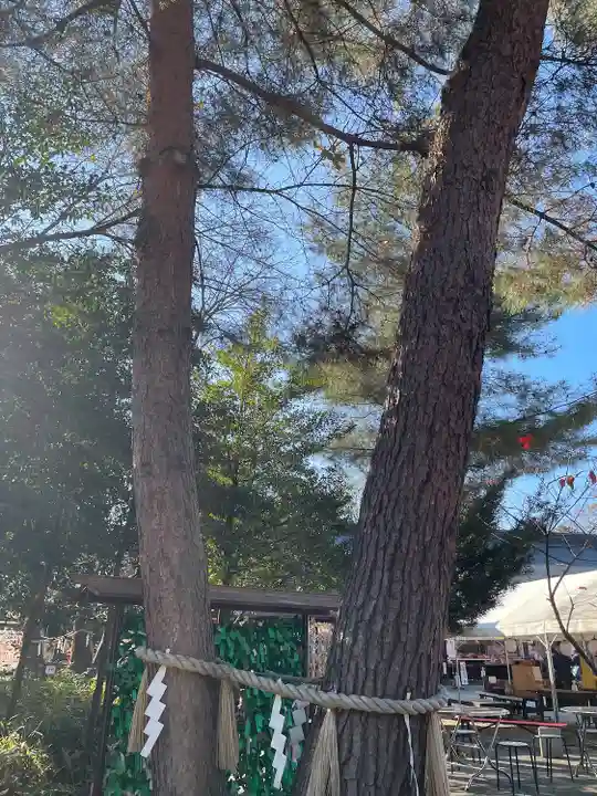 櫻木神社(千葉県)