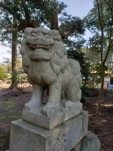 常国神社の狛犬