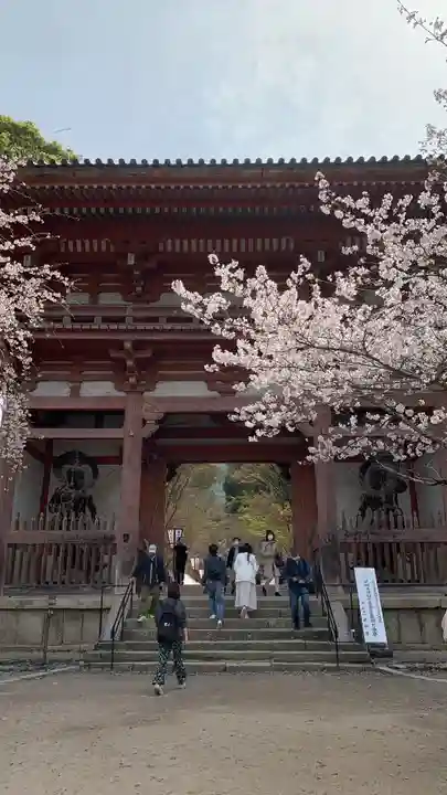 醍醐寺(京都府)