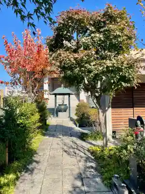 龍泉寺(埼玉県)