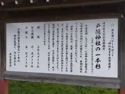 戸隠神社(岐阜県)