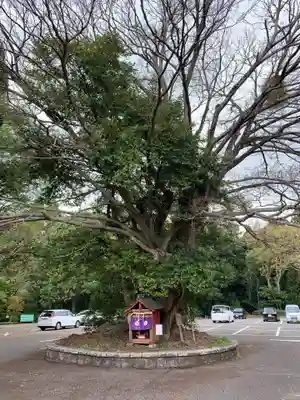 婆神様(千葉県)
