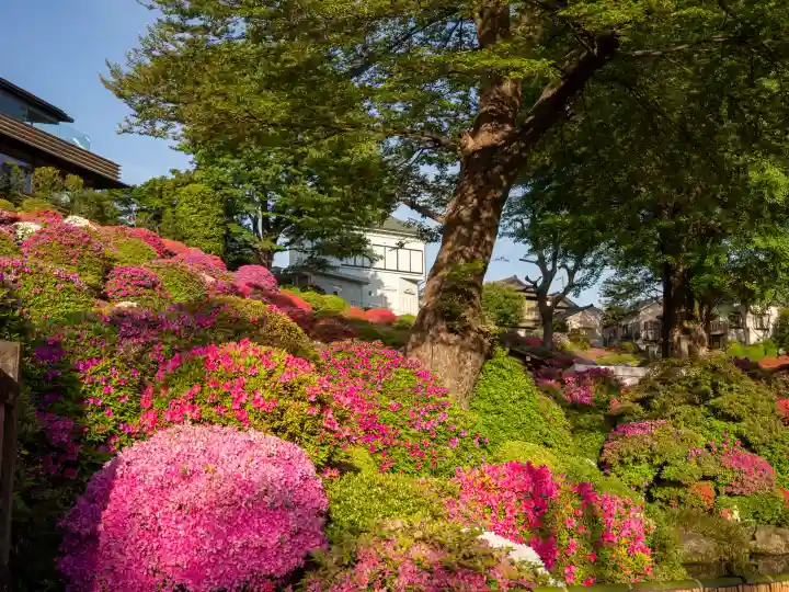 根津神社の{uncategorized: "未分類", other: "その他", undefined: "問題あり", building: "その他建物", grave: "お墓", sacred_gate: "鳥居", guardian: "狛犬", statue: "像", buddha: "仏像", history: "歴史", nature: "自然", garden: "庭園", animal: "動物", pagoda: "塔", temizu: "手水舎", mountain_gate: "山門・神門", sanctuary: "本殿・本堂", subordinate: "末社・摂社", art: "芸術", scenery: "景色", jizo: "地蔵", ema: "絵馬", goshuin: "御朱印", omikuji: "おみくじ", items: "授与品その他", amulet: "お守り", goshuincho: "御朱印帳", eats: "食事", festival: "お祭り", votive_dance: "神楽", shichigosan: "七五三参", wedding: "結婚式", experience: "体験その他", initially: "初詣", around: "周辺", anti_infection: "感染症対策"}