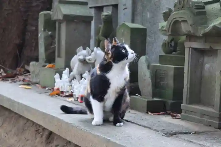 柏諏訪神社(千葉県)
