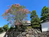 帰雲院(京都府)