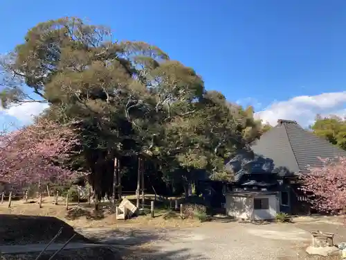 寂光寺(千葉県)