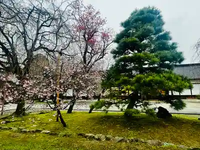 富山縣護國神社(富山県)