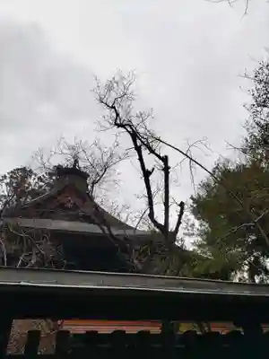 甲斐國一宮 浅間神社(山梨県)