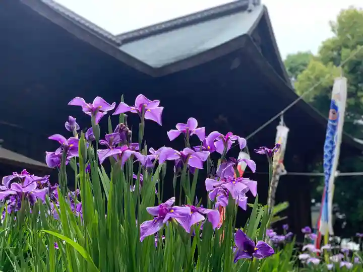 府八幡宮の自然