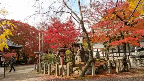 松ヶ崎大黒天 妙圓寺（妙円寺）(京都府)