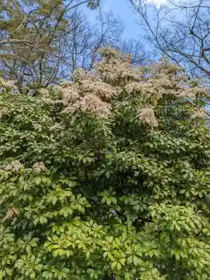 松尾大社(京都府)